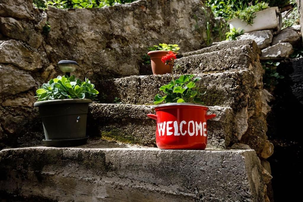 Apartment Old Town - Bambo Knin Dış mekan fotoğraf